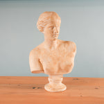 classical-venus-bust-01-2