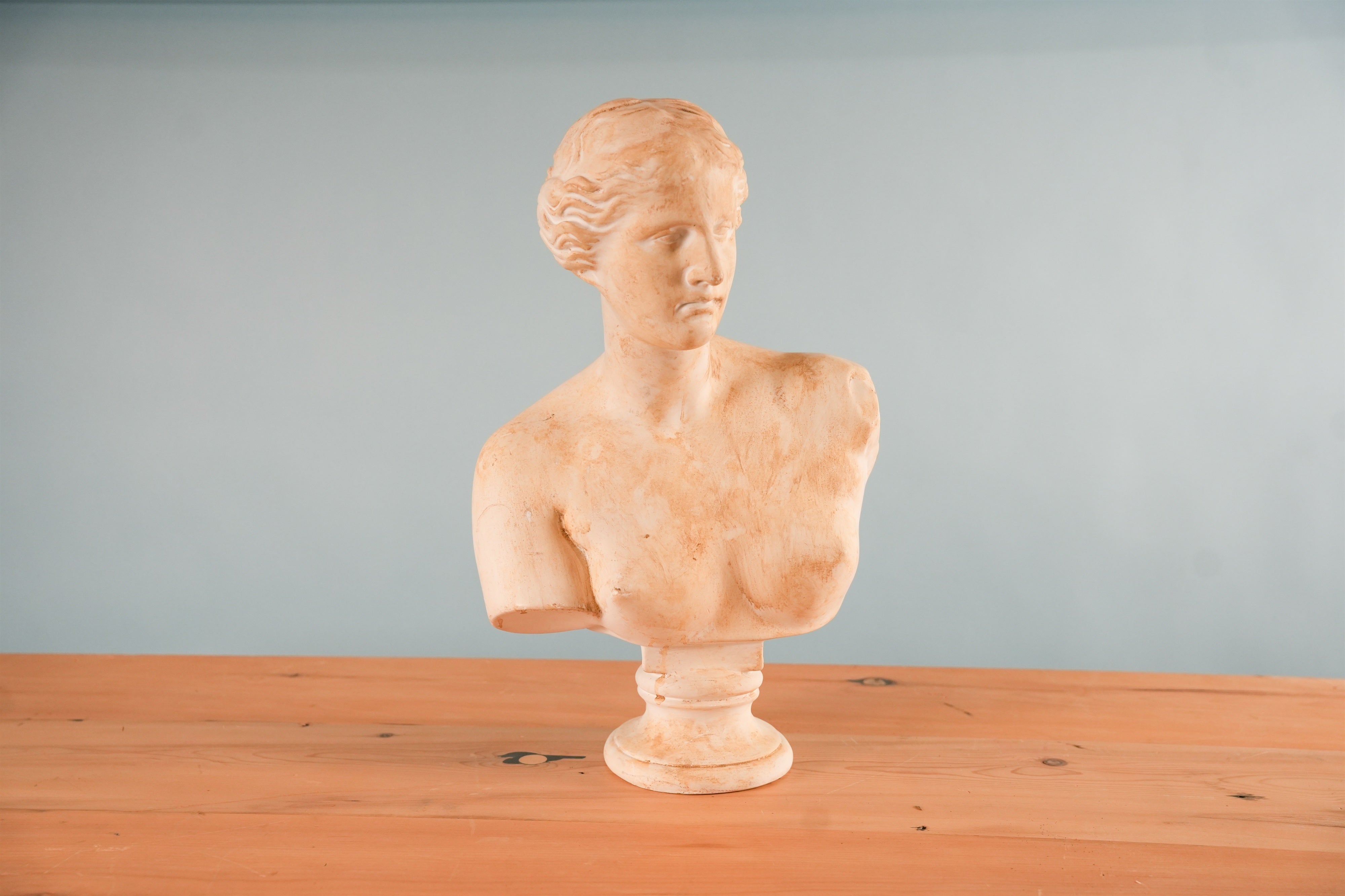 classical-venus-bust-01-2