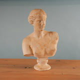 classical-venus--bust-01.jpg