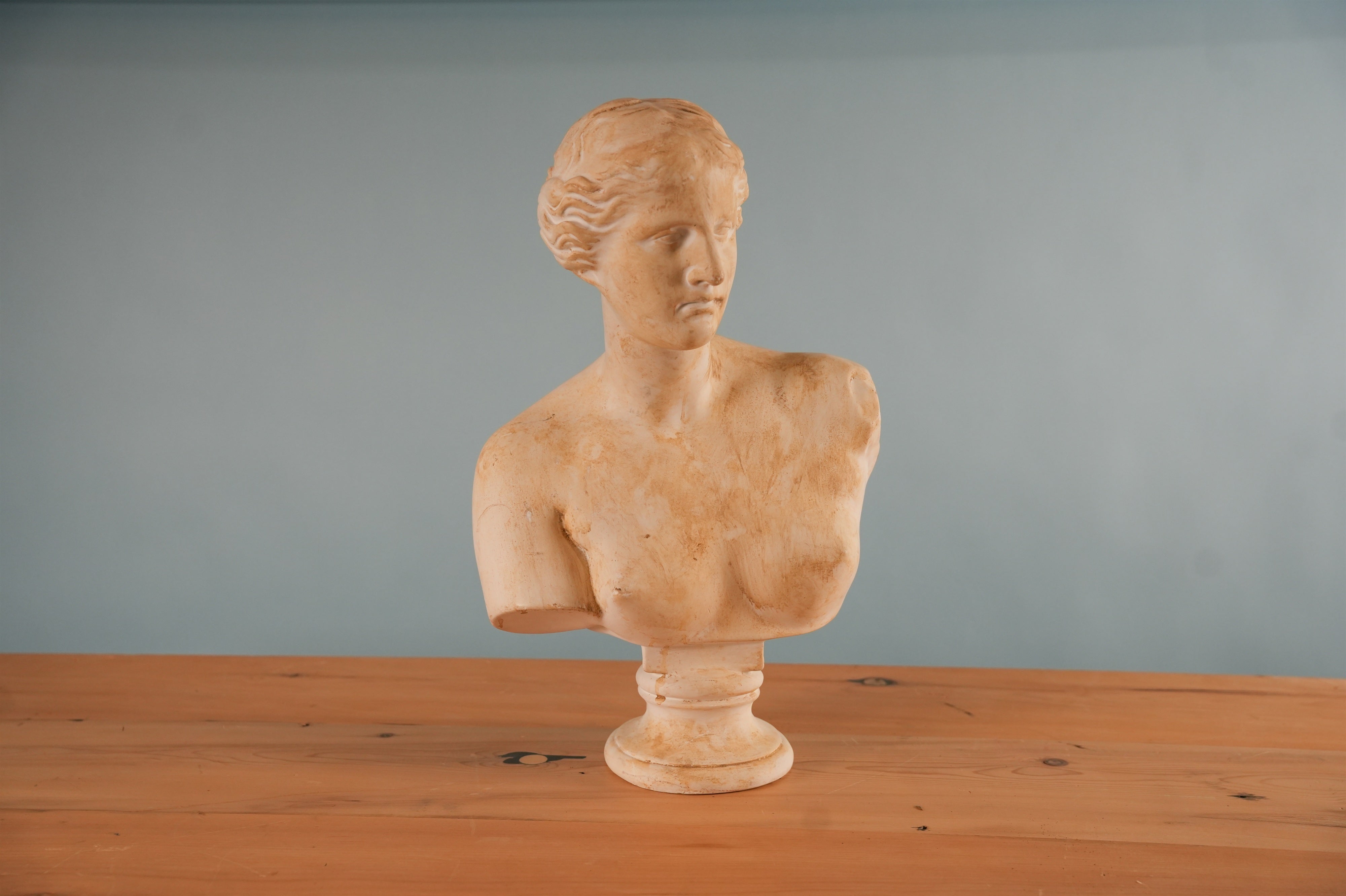 classical-venus--bust-01.jpg