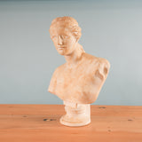 classical-venus-bust-03-2