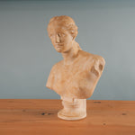 classical-venus-bust-03
