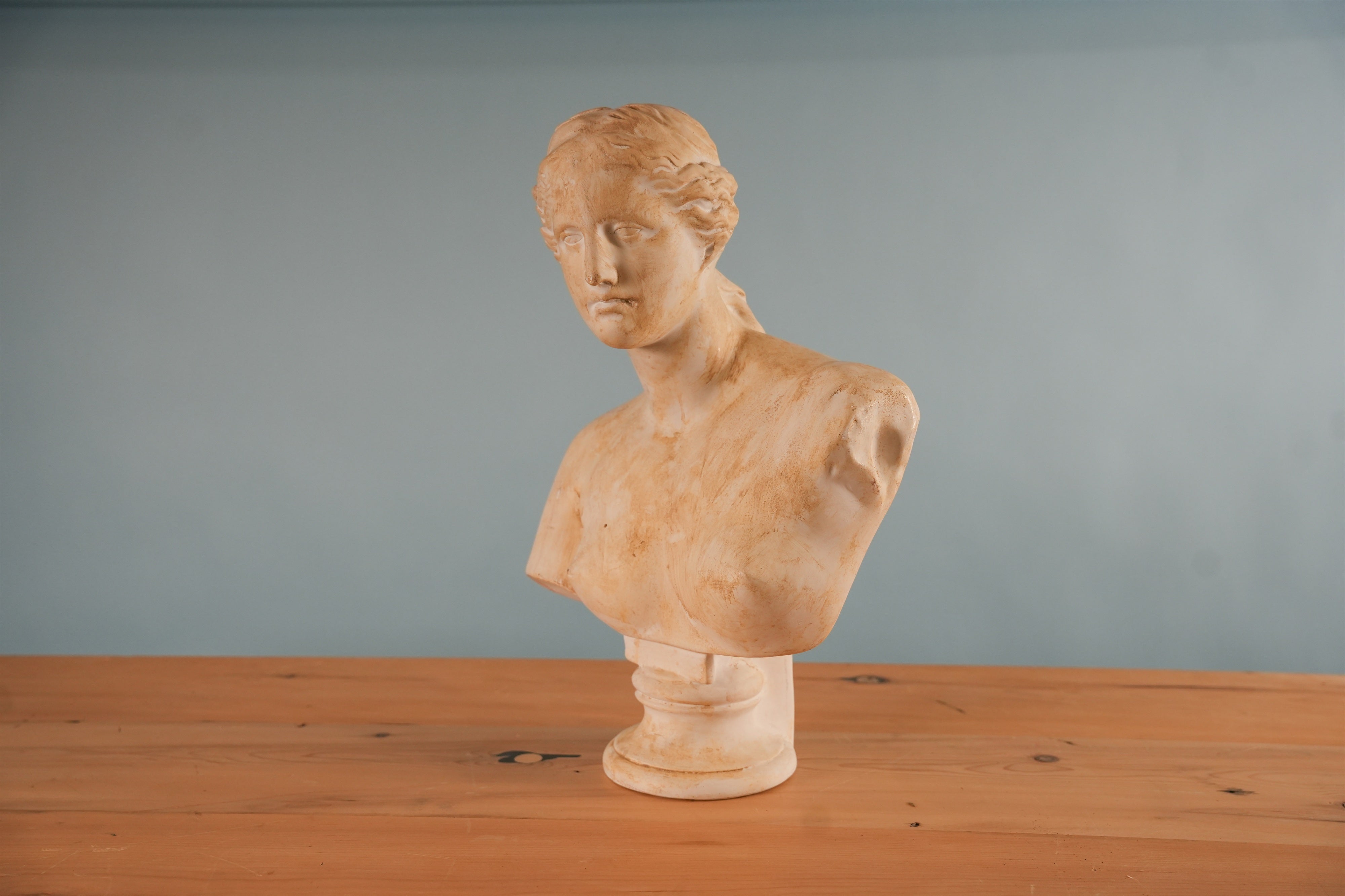 classical-venus-bust-03