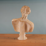 classical-venus-bust-04