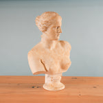 classical-venus-bust-05-2