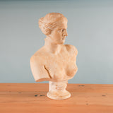 classical-venus-bust-05-2