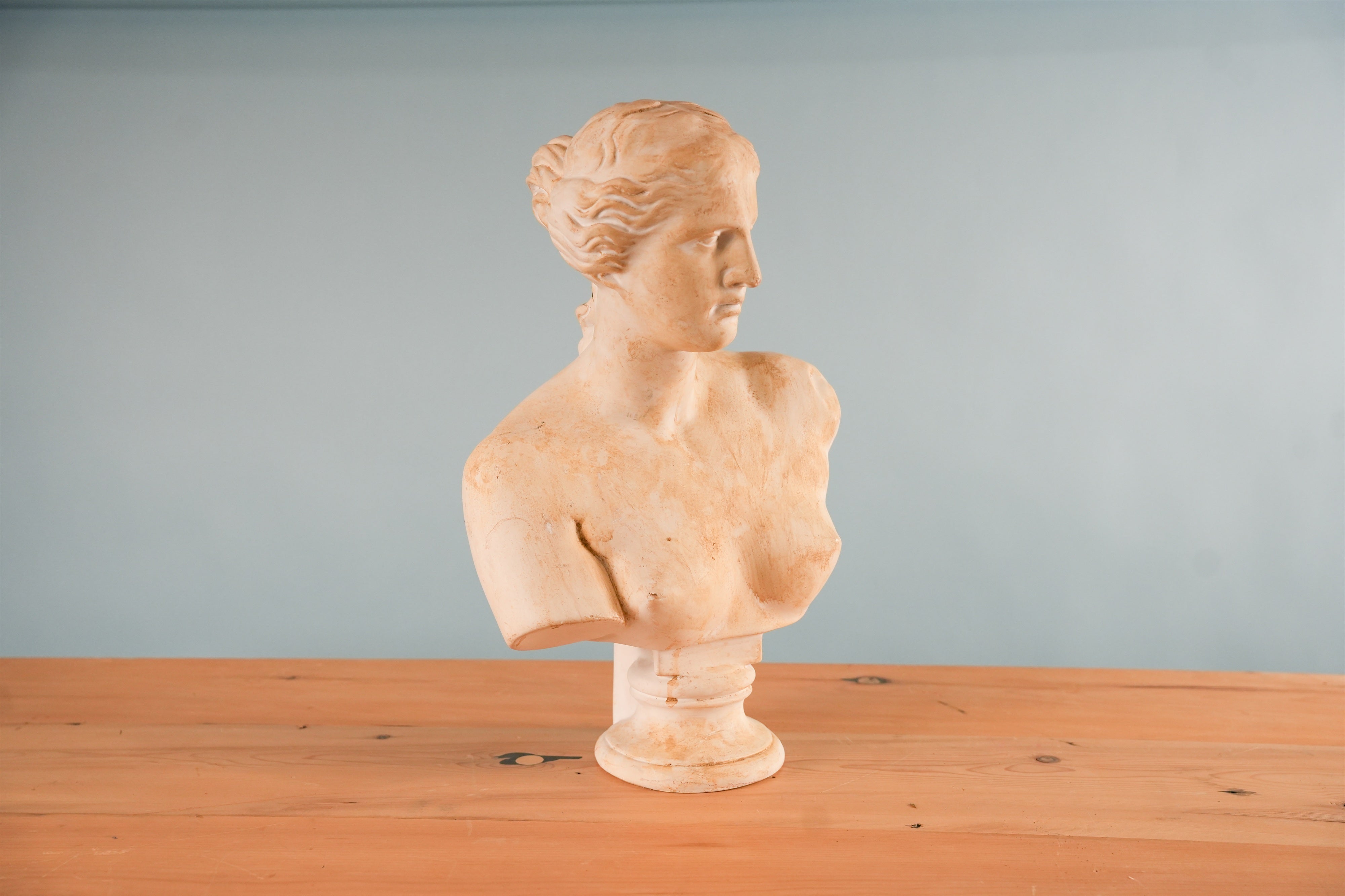 classical-venus-bust-05-2