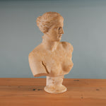 classical-venus-bust-05