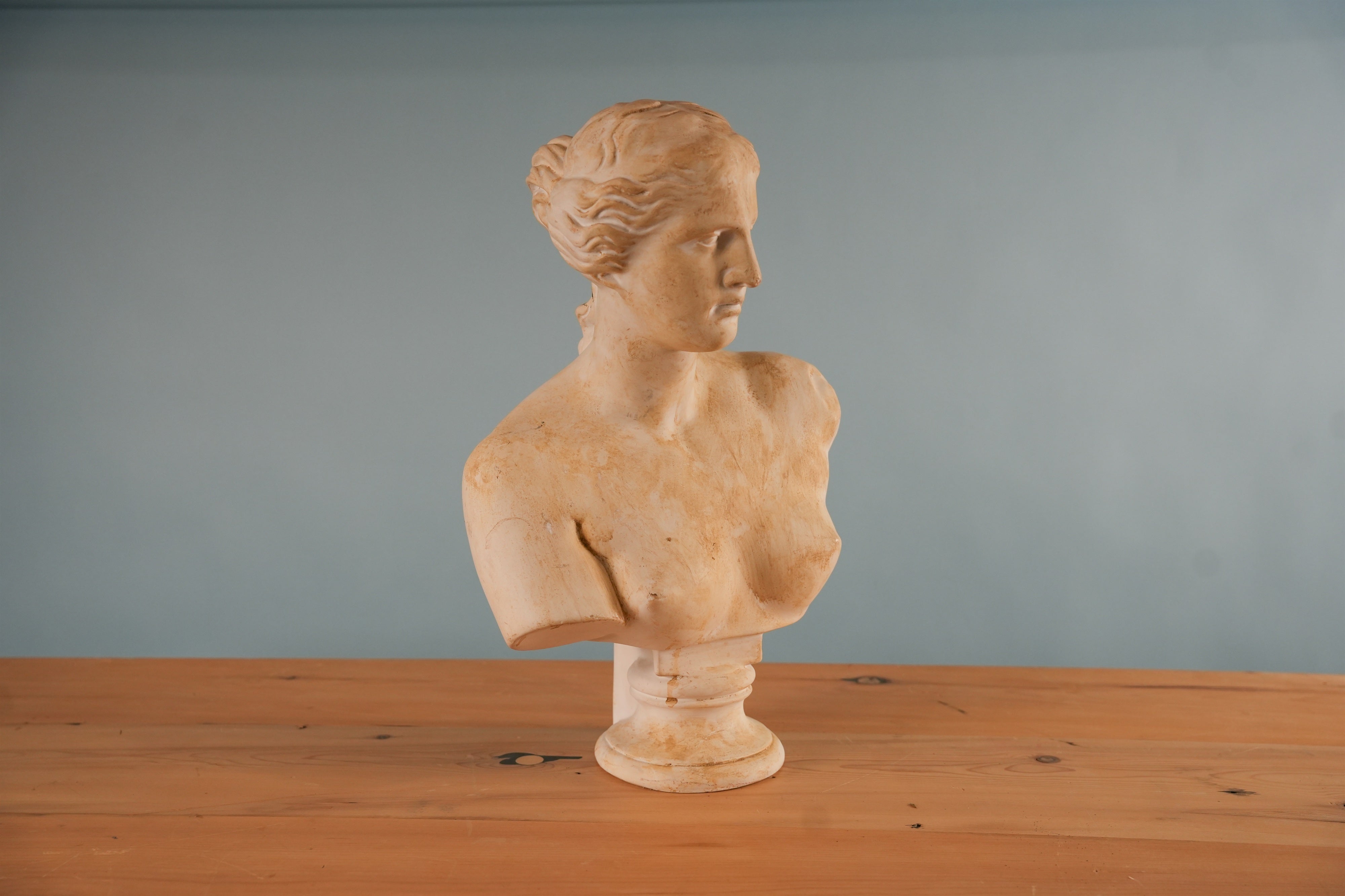 classical-venus-bust-05