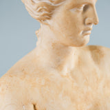 classical-venus-bust-07-2