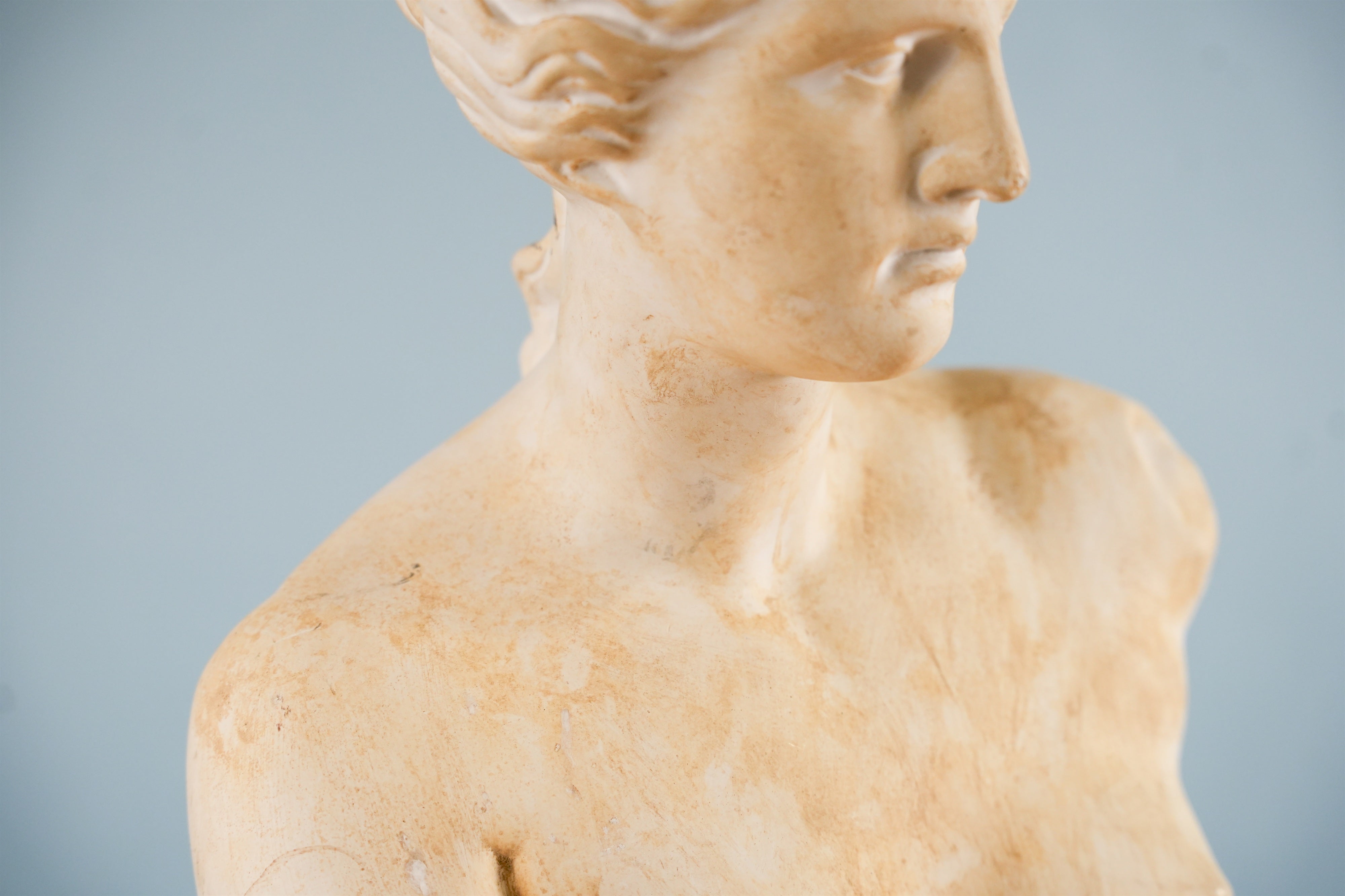 classical-venus-bust-07-2