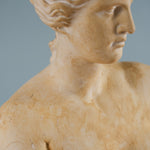 classical-venus-bust-07