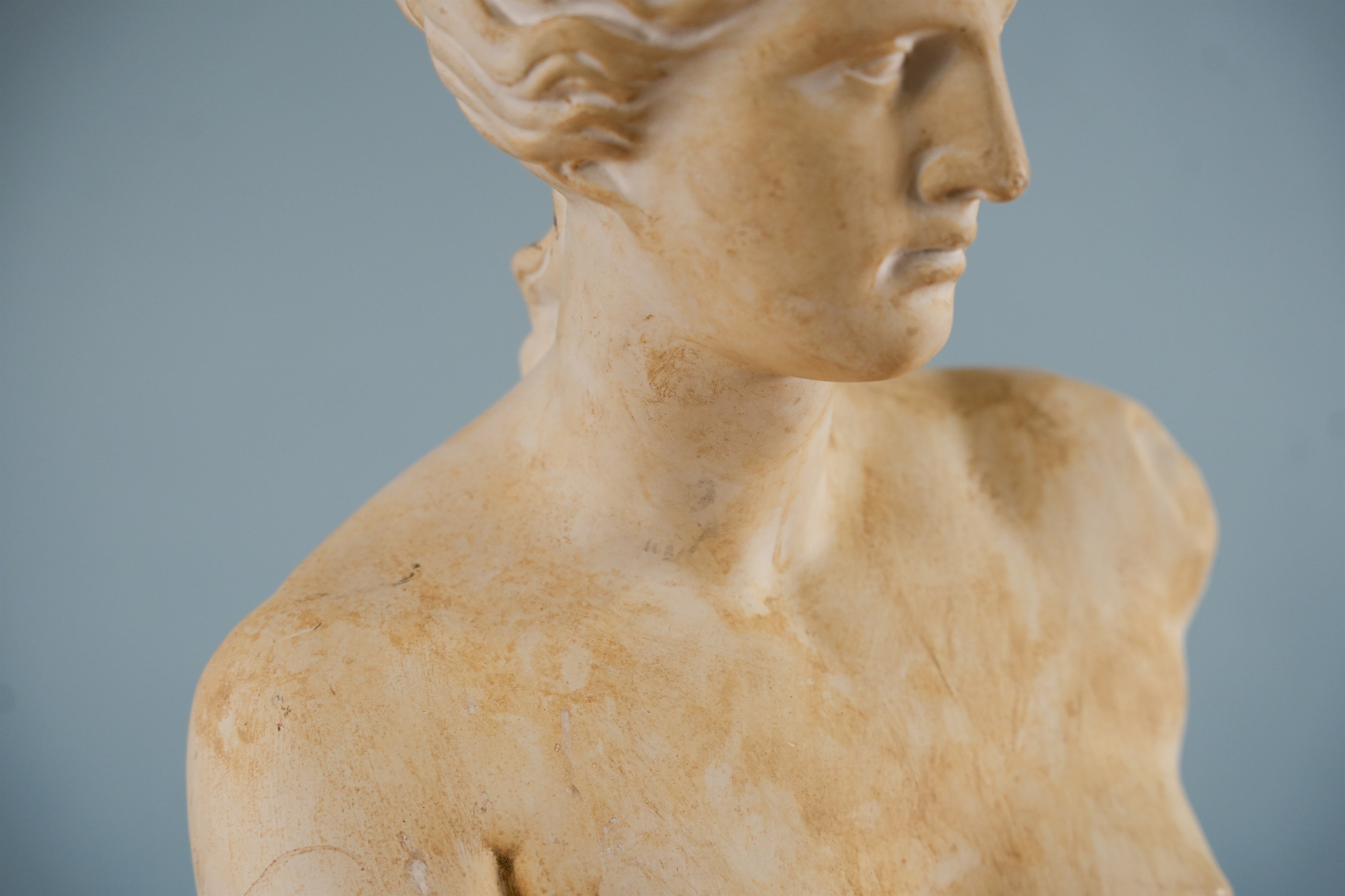 classical-venus-bust-07