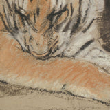 Resting Tiger Pastel Drawing — detail 2